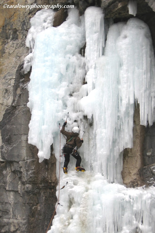 capturethecolourwhite