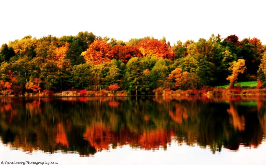 autumnlakesigned (Medium)