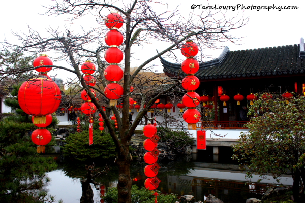 Lucky red lanterns in Dr. Sun Yat -Sen Gardens. Vancouver, Canada