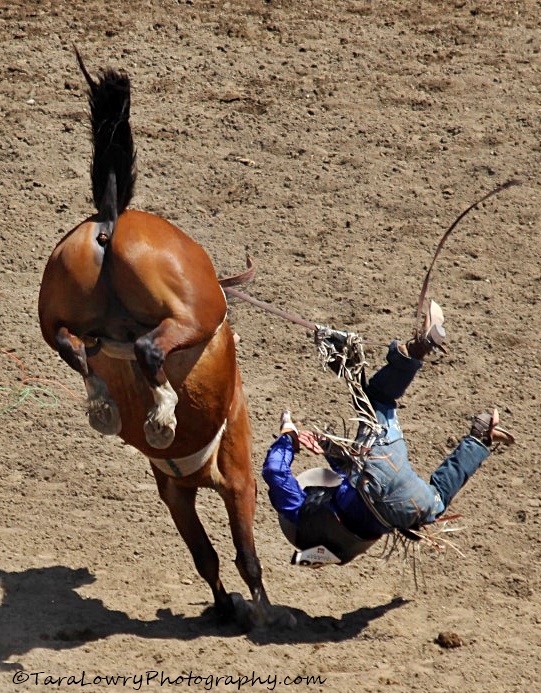 bottomsuprodeo14 (Medium)