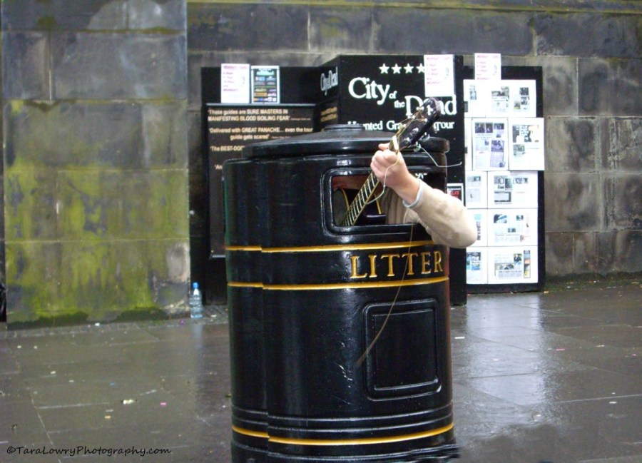 My beautiful picture